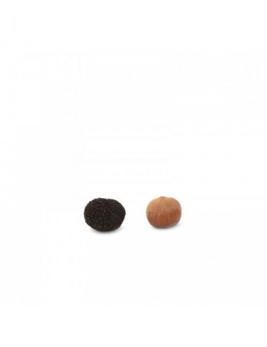 Trufa Negra Melanosporum S...